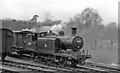 Ex-LB&SC 0-6-2T shunting at Midhurst