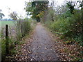 Downs Link path on the outskirts of Cranleigh