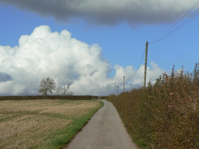 Road to the Sewage Works
