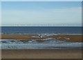 TF5762 : Skegness, beach and windfarm by Rob Farrow