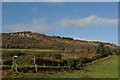 Track & footpath signpost near Largybeg Point