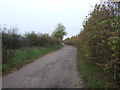 Track to Beech Farm (footpath)