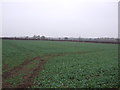 Farmland off the B6045