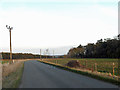 Lane beside Actonlea Coppice