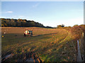 Field and Besford Wood