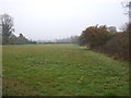 Farmland near Welham