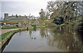 Village pond at East Quantoxhead