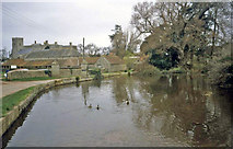 ST1343 : Village pond at East Quantoxhead by Trevor Rickard