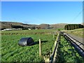 Newton Farm from road