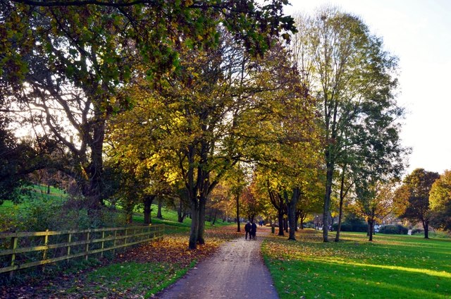 Yeovil: Autumn in Ninesprings © Mr Eugene Birchall cc-by-sa/2.0 ...