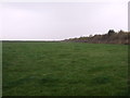 Farmland off Mill Lane