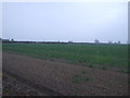 Farmland, Woodbeck