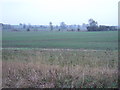 Farmland off Broad Gate (A57)