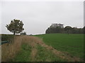 SJ6369 : Field edge boundary near Valeroyal Park by Dr Duncan Pepper