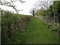 Footpath heading to Woodstock