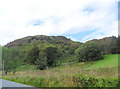 Creig Bhuidhe east of Kinloch Rannoch