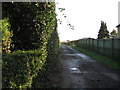 Driveway entrance to New Hall Farm