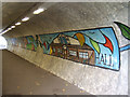 Station Road underpass murals