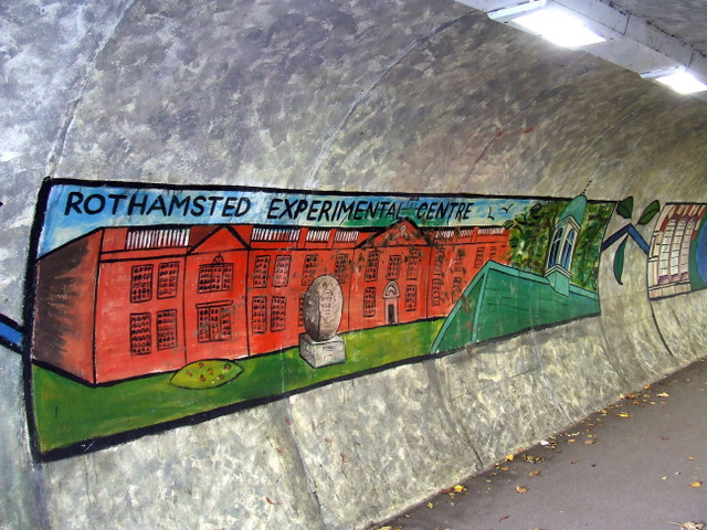 Station Road underpass murals
