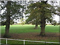 Parkland grazing adjacent to Stanthorne Hall