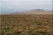 SD6513 : Moorland grass on Crooked Edge Hill by Bill Boaden