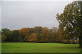 Autumn trees at Moss Bank Park