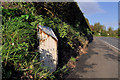 D4000 : Milepost near Glynn (2-1) by Albert Bridge