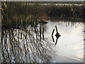 Sunken Fence Posts in Bottom Flash Lake