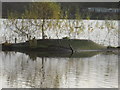 Artificial (?) duck island in Bottom Flash Lake