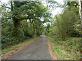 Commonside, Great Bookham Common