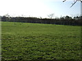 Grazing land off Tunstall Lane