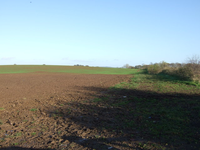 Farmland, Boltonmoss Hill
