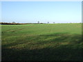 Farmland near Newby