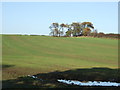 Farmland off Bromley Lane