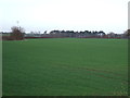 Farmland, Tame Bridge