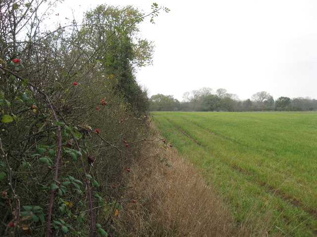 Field edge boundary behind Blakeden Farm