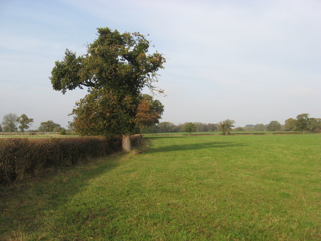 Field edge boundary at Chesterlane Farm