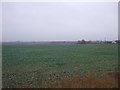 Farmland near America Farm