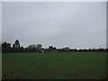 Farmland off Skegby Road