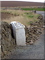 Milestone and bench mark near St Andrews