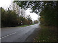 Road into Carlton on Trent