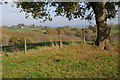 Farmland near Pen-yr-Heol