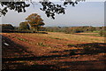 Farmland near Pen-yr-Heol