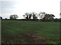 Farmland, Mousehole Corner