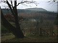 Lakeland View, Whinlatter Forest Park