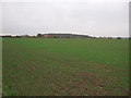 Farmland near Highfield House