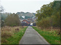 Track, Ashstead Common