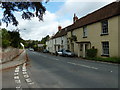 South Downs Society Green Travel Walks Week (191)