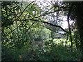 Pond in front of Home Farm