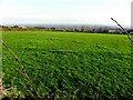 Lislea Townland